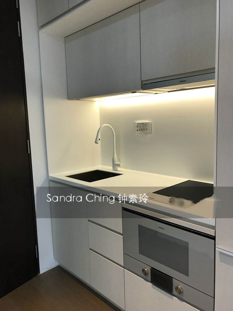 Fulcrum (D15), Condominium #151473972